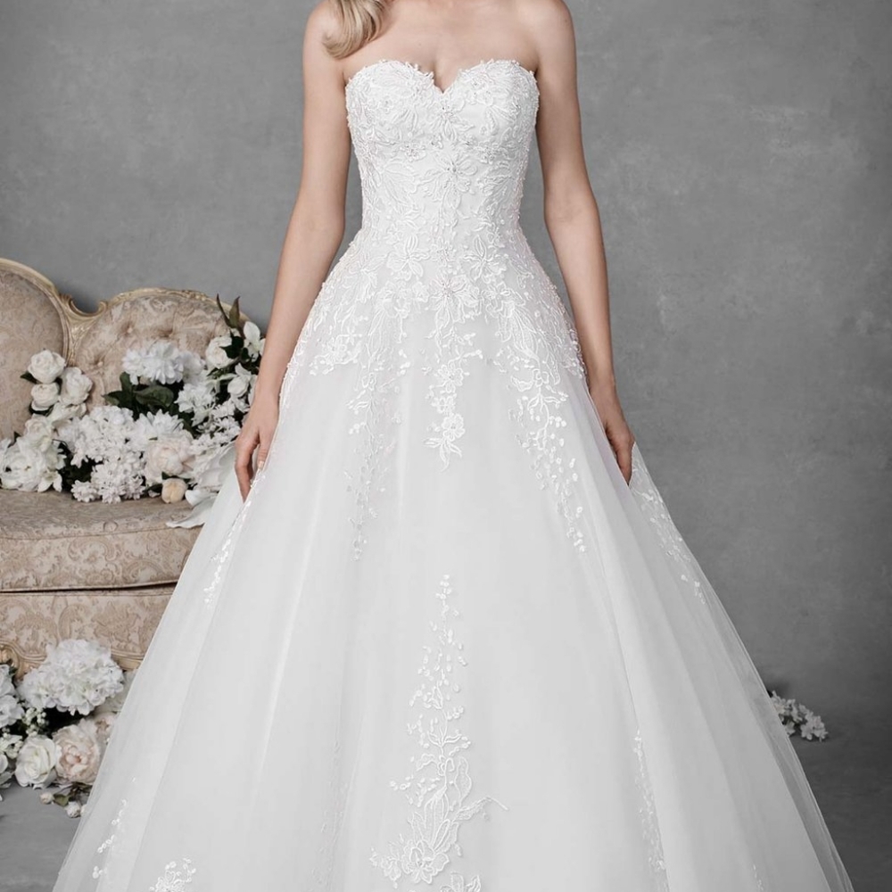 Ella Rosa BE497 White 12 Drop Waist Lace Ballgown Wedding Dress